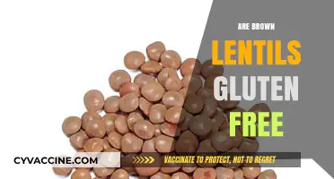 Are Brown Lentils Gluten-Free? A Clear Answer for Your Diet