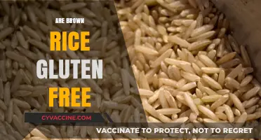 Is Brown Rice Gluten-Free? A Clear Answer for Your Diet