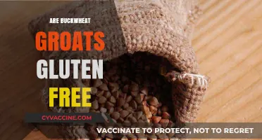 Buckwheat Groats: A Naturally Gluten-Free Superfood Explained