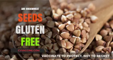 Buckwheat Seeds and Gluten: Unraveling the Truth for Celiacs
