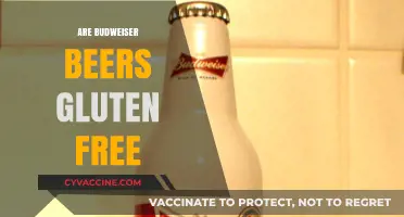 Are Budweiser Beers Gluten-Free? A Complete Guide for Beer Lovers