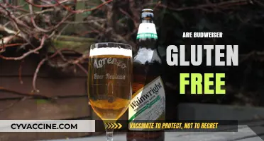 Is Budweiser Gluten-Free? Uncovering the Truth for Beer Lovers