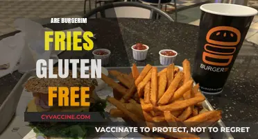 Are Burgerim Fries Gluten-Free? A Complete Guide for Celiac Diners
