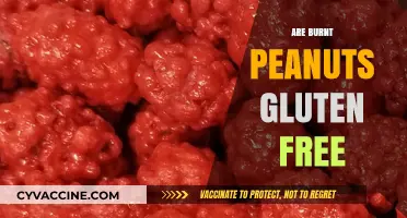 Are Burnt Peanuts Gluten-Free? A Complete Guide to Safe Snacking