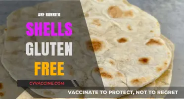 Are Burrito Shells Gluten-Free? A Guide to Safe Options