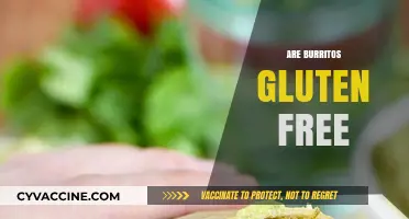 Are Burritos Gluten-Free? Unwrapping the Truth for Celiac Diners