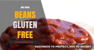 Are Bush Beans Gluten-Free? A Clear Answer for Your Diet