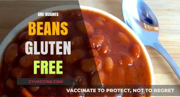 Are Bush's Beans Gluten-Free? A Comprehensive Guide for Celiacs