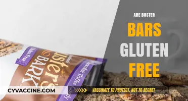 Are Buster Bars Gluten-Free? A Complete Guide to Ingredients