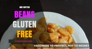 Are Butter Beans Gluten-Free? A Complete Guide for Celiac Diets
