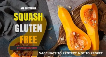 Is Butternut Squash Gluten-Free? A Complete Nutritional Guide