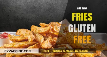 Are BWW Fries Gluten-Free? A Complete Guide for Celiac Diners