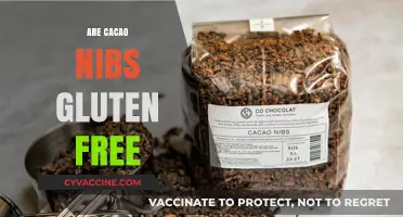 Are Cacao Nibs Gluten Free? A Complete Guide for Celiacs