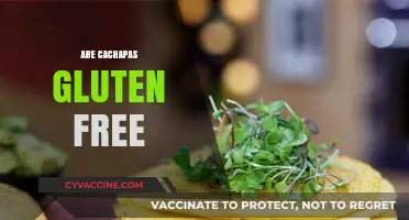 Are Cachapas Gluten-Free? A Complete Guide to This Venezuelan Dish