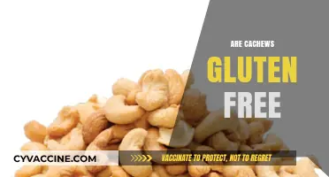 Are Cashews Gluten-Free? A Nutritional Guide for Celiac Diets