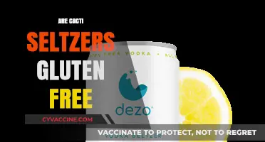 Are Cacti Seltzers Gluten-Free? A Complete Guide for Drinkers