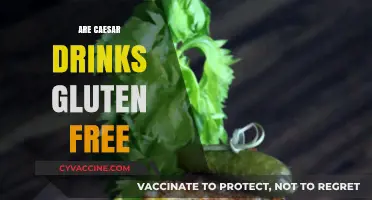 Are Caesar Drinks Gluten-Free? Uncovering the Truth for Celiac Sufferers
