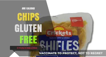 Are Calidad Chips Gluten-Free? A Comprehensive Guide for Snack Lovers