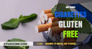 Are Camel Cigarettes Gluten-Free? Exploring Ingredients and Health Concerns