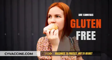 Are Cameras Gluten Free? Unraveling the Myth Behind Electronics