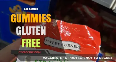 Are Camino Gummies Gluten-Free? A Comprehensive Guide for Consumers