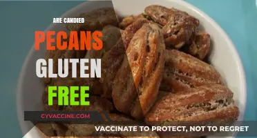 Are Candied Pecans Gluten Free? A Sweet Nutty Answer