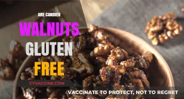 Are Candied Walnuts Gluten-Free? A Sweet Nutty Inquiry