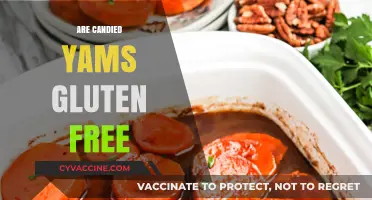 Are Candied Yams Gluten-Free? A Sweet Holiday Dish Explained