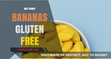 Are Candy Bananas Gluten-Free? A Sweet Snack Fact Check