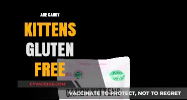 Are Candy Kittens Gluten-Free? A Sweet Treat Analysis