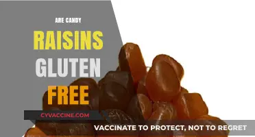 Are Candy Raisins Gluten-Free? A Sweet Snack Fact Check