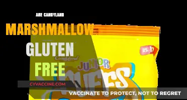 Candyland Marshmallows: Gluten-Free or Not? A Sweet Investigation