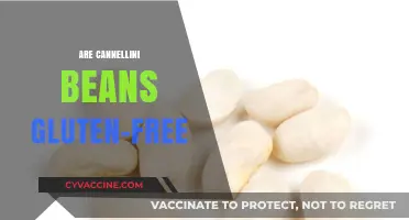Are Cannellini Beans Gluten-Free? A Clear Answer for Your Diet