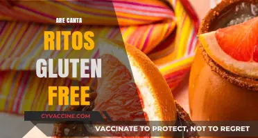 Are Canta Ritos Gluten Free? A Comprehensive Guide to Ingredients