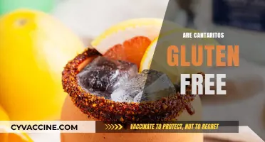 Are Cantaritos Gluten Free? A Guide to Traditional Mexican Clay Cups