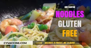 Are Canton Noodles Gluten-Free? A Complete Guide for Celiac Diets