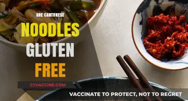 Cantonese Noodles and Gluten: What You Need to Know