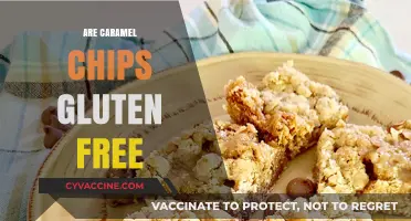 Are Caramel Chips Gluten-Free? A Sweet and Safe Snack Guide