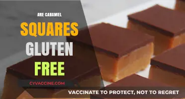 Are Caramel Squares Gluten Free? A Sweet Treat Investigation