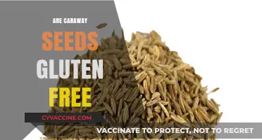 Are Caraway Seeds Gluten Free? A Complete Guide for Celiacs