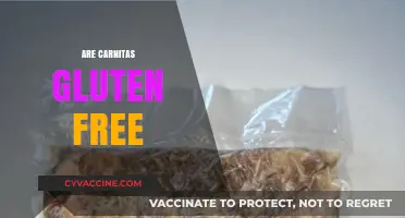 Are Carnitas Gluten Free? A Complete Guide to Safe Eating