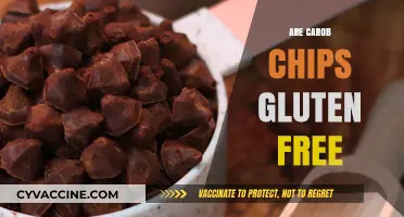 Are Carob Chips Gluten-Free? A Comprehensive Guide for Health-Conscious Eaters