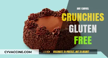 Are Carvel Crunchies Gluten-Free? A Complete Guide for Dessert Lovers