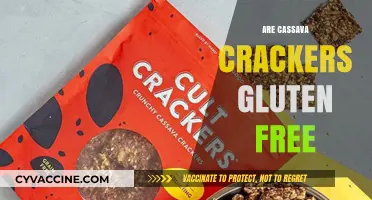 Are Cassava Crackers Gluten-Free? A Crunchy, Healthy Snack Option