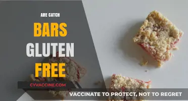 Are Catch Bars Gluten-Free? A Comprehensive Guide to Ingredients