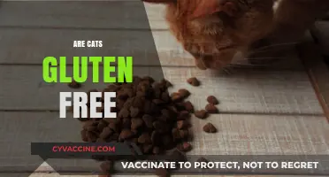 Are Cats Gluten Free? Exploring Feline Diets and Food Safety