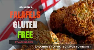 Are Cauldron Falafels Gluten-Free? A Complete Guide for Dietary Needs