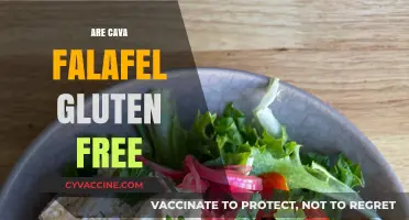 Are Cava Falafel Gluten-Free? A Complete Guide for Dietary Needs