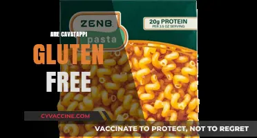 Are Cavatappi Gluten-Free? A Guide to Pasta Options for Celiacs