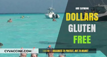 Are Cayman Dollars Gluten-Free? Unraveling the Currency Mystery